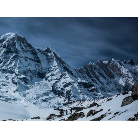 Synergistic Wooden Table fr-FR